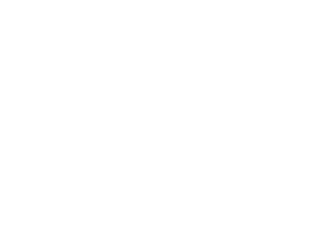 logo izzy